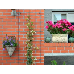 Nature - Metalen Klimrek Geplastificeerd Groen H145x72,5cm 6 Nature - Metalen Klimrek Geplastificeerd Groen H145x72,5cm -Biezen Winkel nature metalen klimrek geplastificeerd groen h145x72 5cm 3 2