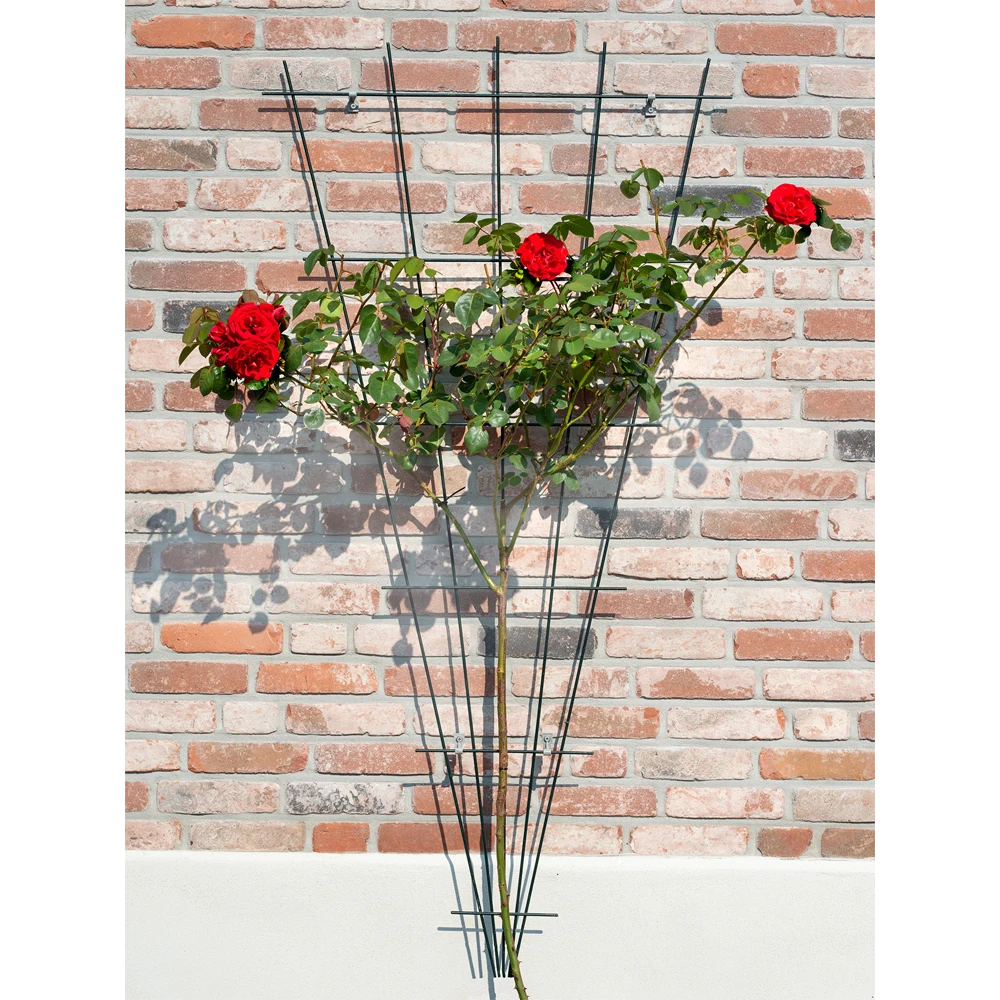 Nature - Metalen Klimrekv Geplastificeerd Groen H145x5/75cm 2 Nature - Metalen Klimrekv Geplastificeerd Groen H145x5/75cm - Afbeelding 2