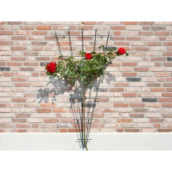 Nature - Metalen Klimrekv Geplastificeerd Groen H145x5/75cm 6 Nature - Metalen Klimrekv Geplastificeerd Groen H145x5/75cm -Biezen Winkel nature metalen klimrekv geplastificeerd groen h145x5 75cm 3 2