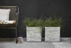 Capi Plantenbak Vierkant Nature Rib NL - L30 X B30 X H30cm - Ivoor 5 Capi Plantenbak Vierkant Nature Rib NL - L30 X B30 X H30cm - Ivoor -Biezen Winkel pot vierkant rib nl 30x30x30 ivoor plantenbak 7 8