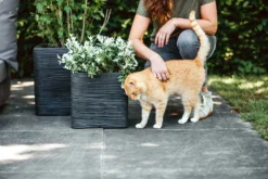 Capi Plantenbak Vierkant Nature Rib NL - L30 X B30 X H30cm - Zwart -Biezen Winkel pot vierkant rib nl 30x30x30 zwart plantenbak 7 8