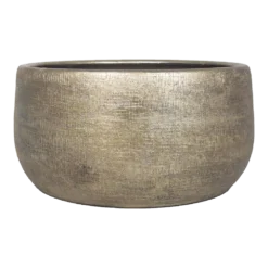 Plantenschaal Mira - D34 X H15cm - Goud