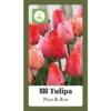 Tulipa Triumph Roze & Rood - 100st - Bloembollen - JUB Holland